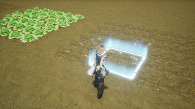 Harvestella_20220628_18.png