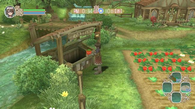 rune_factory_frontier_07.jpg
