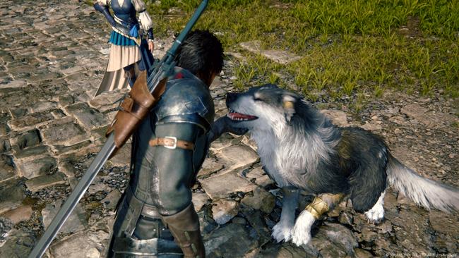 Torgal is FF16's four-legged friend, and Clive's most faithful companion.