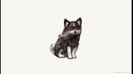 Torgal as a puppy in FF16.