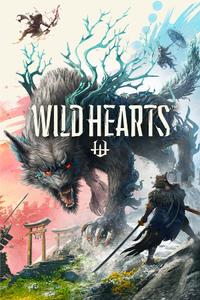 Wild Hearts boxart