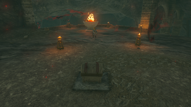 Once the torch is lit, the chest with the Hylian Shield drops.