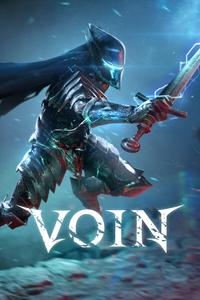 Voin boxart
