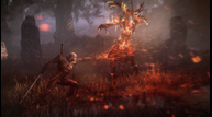 the_witcher_3_wild_hub7uws.png