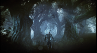 the_witcher_3_wild_hunjx8l.png