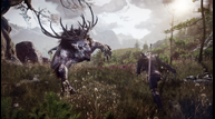 the_witcher_3_wild_huc6uj0.png