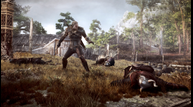 the_witcher_3_wild_hupgk06.png