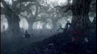 the_witcher_3_wild_hucgup1.png