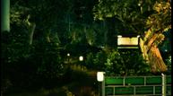 dark_05042012_10.jpg