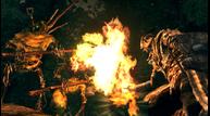 Battle_with_Possessed_Tree_Past.jpg