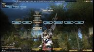 ff14_arr_beta_ps3_10.jpg