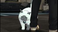 tox2_06212012_04.jpg