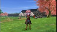 dragon_quest_x_1210_003.jpg
