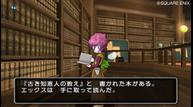 dragon_quest_x_1210_005.jpg