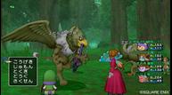 dqx_2912_015.jpg