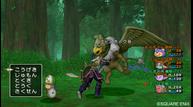 dqx_2912_016.jpg