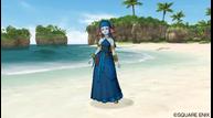 dragonquest10_17.jpg