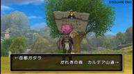dragon_quest_x_2010_008.jpg