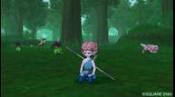 dragon_quest_x_1210_004.jpg
