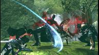 Drakengard-3_2013_05-19-13_009.jpg