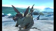 Monster-Hunter-4_2013_05-16-13_021.jpg