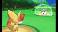 Pokemon-X-and-Y_2013_06-14-13_016.jpg