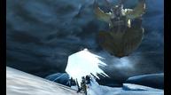 Monster-Hunter-4_2013_05-16-13_023.jpg