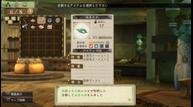Atelier-Escha-and-Logy-Alchemist-of-Dusk-Sky_2013_06-02-13_032.jpg