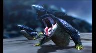 Monster-Hunter-4_2013_05-16-13_014.jpg