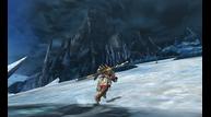 Monster-Hunter-4_2013_05-16-13_008.jpg