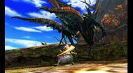 Monster-Hunter-4_2013_05-16-13_009.jpg