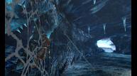 Monster-Hunter-4_2013_05-16-13_006.jpg