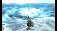 Monster-Hunter-4_2013_05-16-13_004.jpg