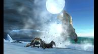 Monster-Hunter-4_2013_05-16-13_020.jpg