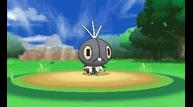 Pokemon-X-and-Y_2013_06-14-13_013.jpg