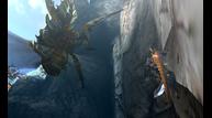 Monster-Hunter-4_2013_05-16-13_013.jpg