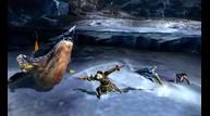 Monster-Hunter-4_2013_05-16-13_015.jpg