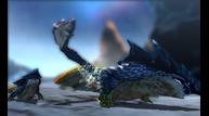Monster-Hunter-4_2013_05-16-13_016.jpg