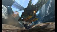 Monster-Hunter-4_2013_05-16-13_011.jpg