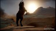 HorseRear_WM_web.jpg