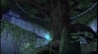 LD_Jun62014_09.jpg
