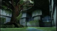 LD_Jun62014_11.jpg