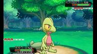 ORAS_June142014_11.jpg