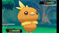 ORAS_June142014_14.jpg