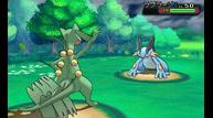 ORAS_June142014_21.jpg