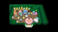 ORAS_Jul82014_03.jpg