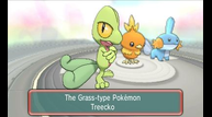 ORAS_Jul142014_03.png