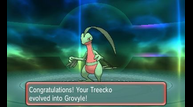 ORAS_Jul142014_13.png
