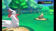 ORAS_Jul142014_16.png