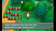 ORAS_Jul142014_117.png